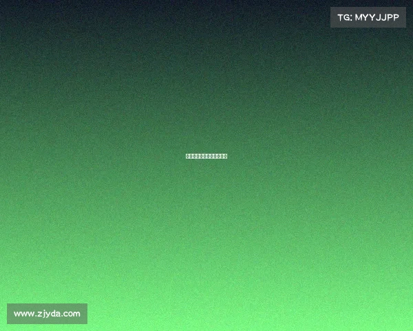 沸腾数字战场上的王者之巅